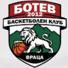 波夫迪2012logo